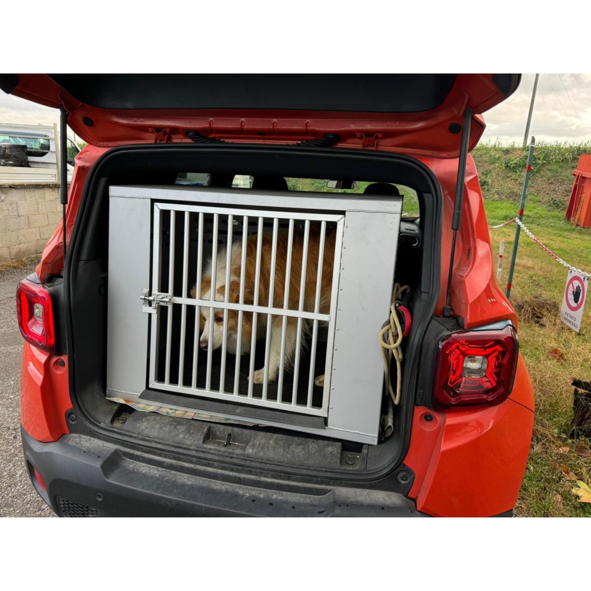 TRASPORTINO USATO 1 POSTO PER JEEP RENEGADE 2021